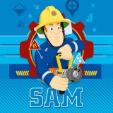 prosop_Sam_30x30_cm