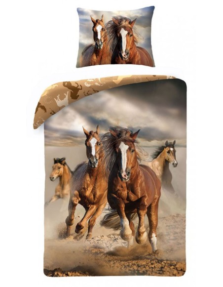 obliecky_divoke_kone