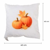 perna_decorativa_dovleac_40x40_cm_emi