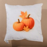 perna_decorativa_dovleac_40x40_cm_emi