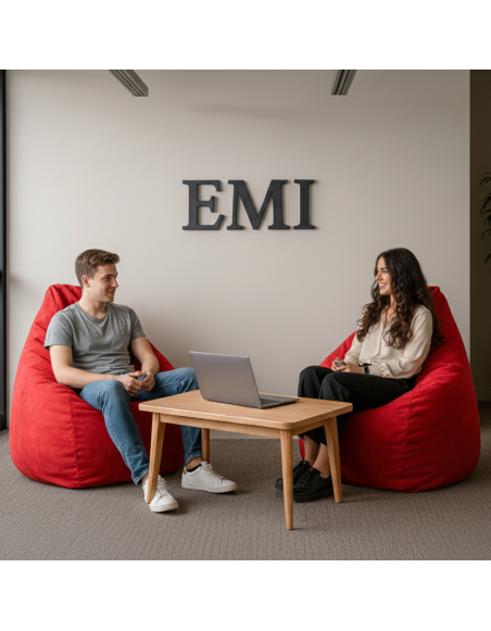 Geantă pentru scaun pear suede red EMI