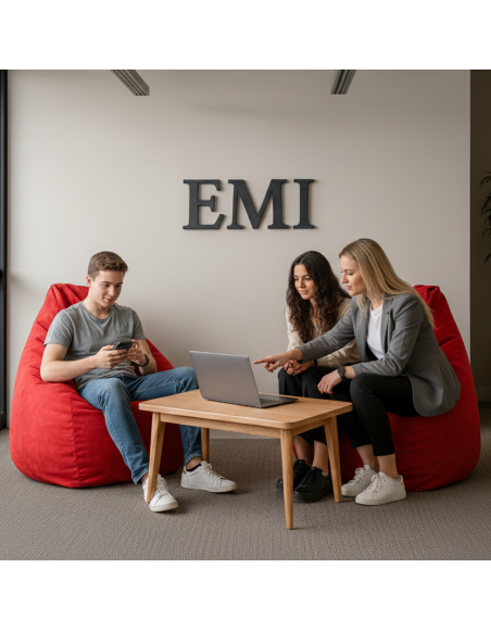 Geantă pentru scaun pear suede red EMI