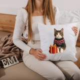 perna_de_craciun_miau_40x40_cm_emi_2