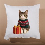 perna_de_craciun_miau_40x40_cm_emi_4