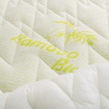 bamboo_emi
