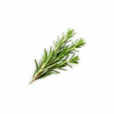 perna_rosemary_50x70_decor_dormitor_sanatos