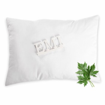 perna_pelin_proprietati_calmante_si_purificatoare