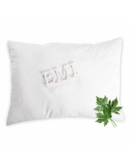 perna_pelin_proprietati_calmante_si_purificatoare