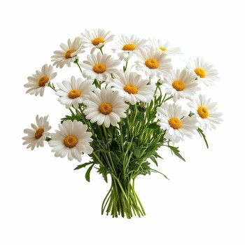 dormitor_sanatos_aromaterapie_naturala_musetel_emi