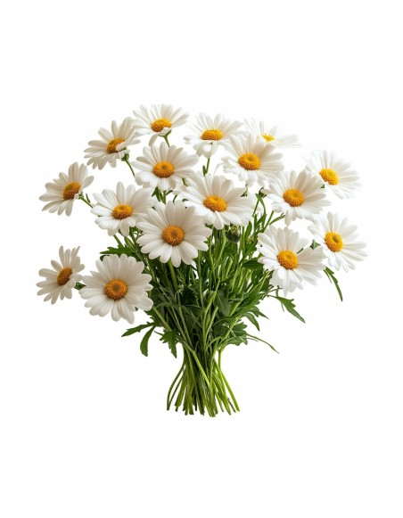 dormitor_sanatos_aromaterapie_naturala_musetel_emi