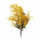 somn_odihnitor_parfumat_aromaterapie_albizia_emi