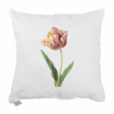 perna_decor_emi