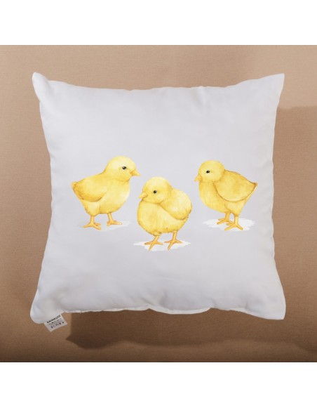 perna_decorativa_pui_emi