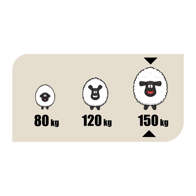 taštičkový matrac