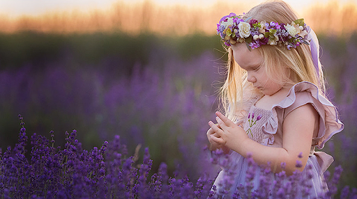 susena_levandula_emi