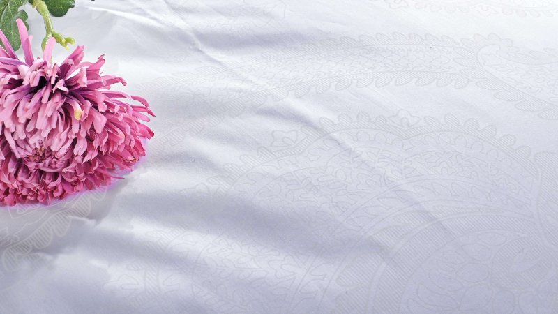 biele obliecky benard